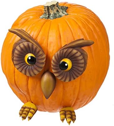 Evergreen Garden Owl Face and Feet Pumpkin Wear Decoration