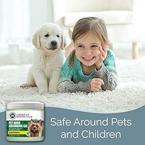 SMELLS BEGONE Pet Odor Absorber Gel – Air Freshener – Made with Essential Oils – Rainforest Scent – 15 Ounce – 2 Pack