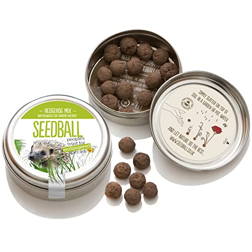 SEEDBALL Hedgehog Mix Wild Flower Tin - 20 Balls | British Wildflower Seeds - Clay Protected Bomb Creates a Hedgehog Friendly Garden for Shelter & Food