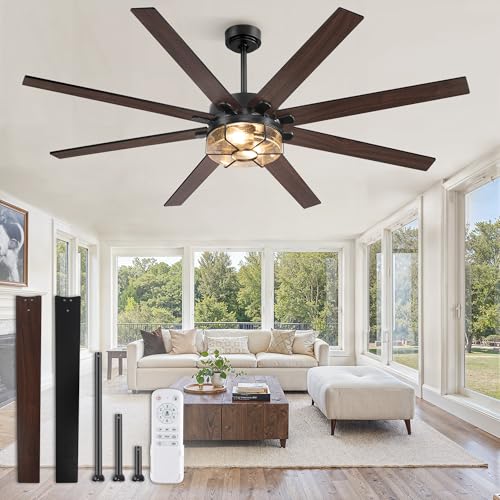 Fanbulous 65 Inch Farmhouse Ceiling Fan with Lights & Remote