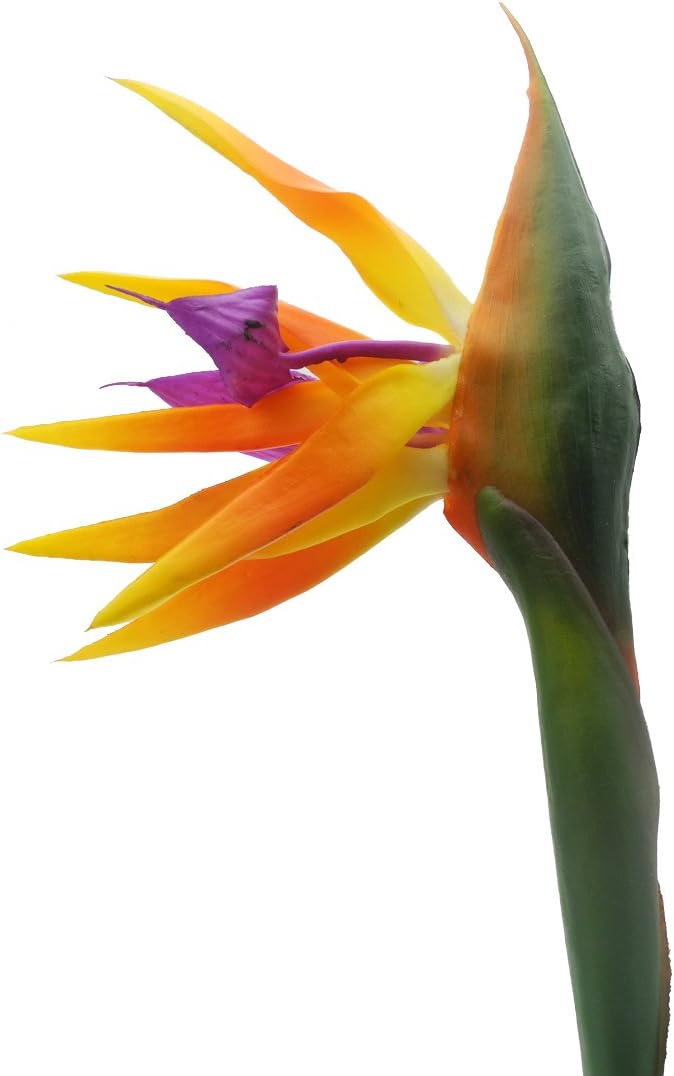 Calcifer 32'' Real Touch Bird of Paradise Artificial Flowers Bouquet for Home Garden Decoration/Wedding Party Decor Orange (Package Quantity: 5 Stems) - Image 4