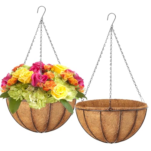 LCHUANG Hanging Baskets Planter for Plants - 2 Pack 12 Inch Metal Baskets with Coco Coir Liner Hanging Flower Pots for Outside with Chain Indoor Outdoor Garden Porch Decoration (12 Pack of 2)