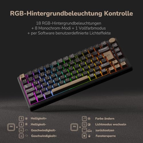 RK ROYAL KLUDGE M75 Gaming Tastatur kabellos 75% Prozent TKL Mechanische Tastatur RGB 2,4 GHz Wireless/Bluetooth/USB-C QWERTZ mit OLED-Smart-Display und Knopf Hot Swappable Braune Schalter, Grau