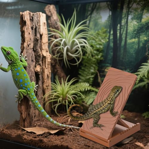 ঒ޗpX[v,tgASqQgJQpoXebvX[v | 񊊂~ߋx^NfR gJQ JI JG C p