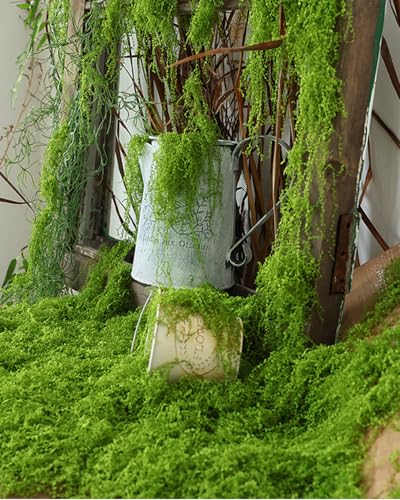 Image of NHCDFA Synthetic 100g Artificial Grass for Decoration,Fake Grass,Artificial Grass,Artificial Moss,Fake Moss Decorative Craft Moss for Lawn Green Plant Aquarium Landscaping,Garden Home Decoration