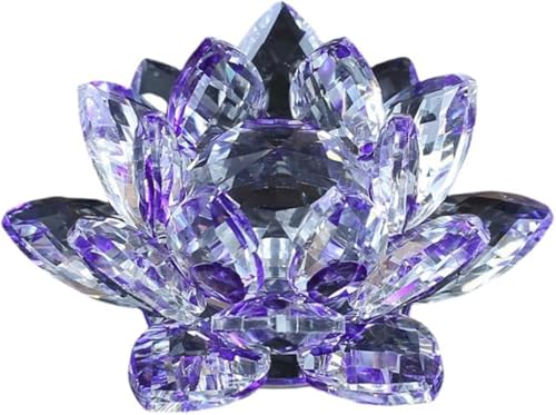 Xiraivke NX^KX  @̉ [^X TLb`[  J^ CeA vY d  IuWF Mtg v[g (O[)