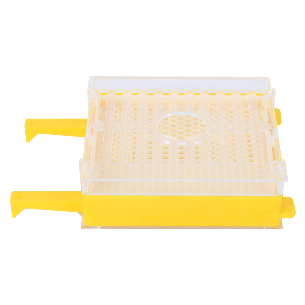 SIXRUN Kit Allevamento Regina Set Allevamento Regina in Plastica con Copertura Protettiva per Cella Pacchetto Completo per Api Installazione Semplice e Protezione Cella per Apicoltori