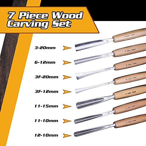 Schaaf Wood Carving Tools Complete Collection | The 12 Piece Foundation Set, 7 Piece Expansion Set, and 4 Piece Detail Set | 23 gouge Profiles Total
