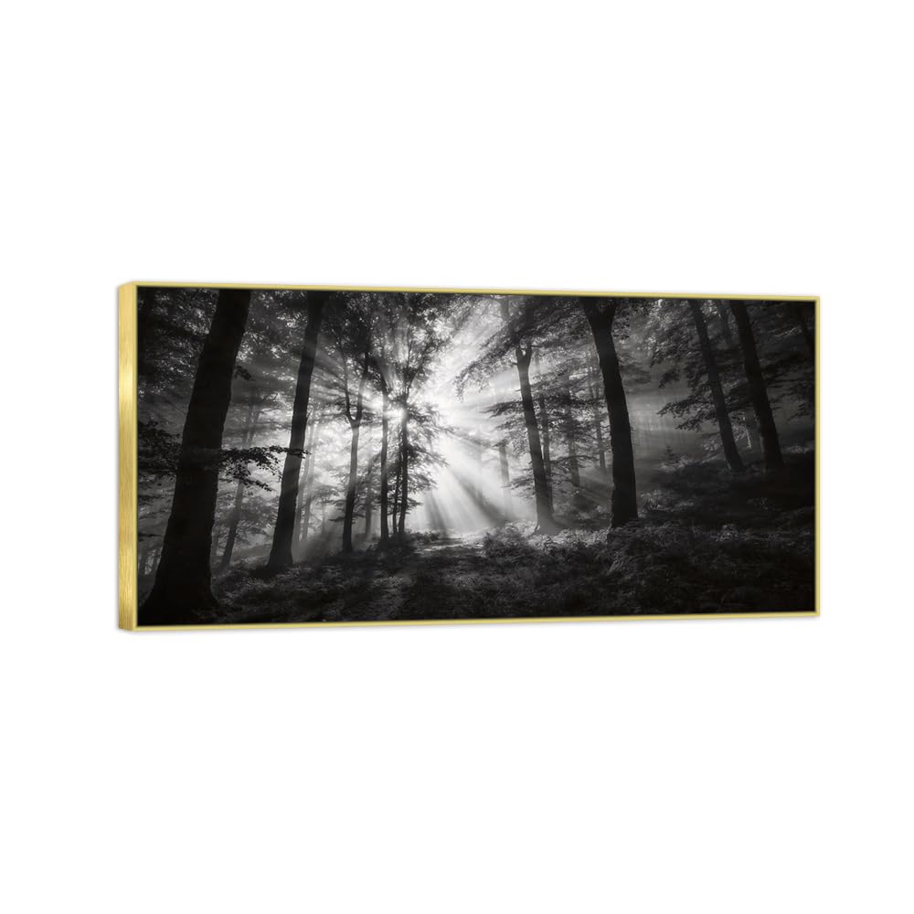Tree Sunshine 3 Black White Landscape Canvas Picture 20x40cm Gold Frame