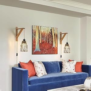 Industrial Plug in Wall Sconce Set of 2, with 8.2ft Hemp Rope Cord, On/Off Switch,Farmhouse Wall Light with Metal Shade and Wood Bracket for Bedroom Living Room. Industrial Plug in Wall Sconce Set of 2 with 82ft Hemp Rope Cord OnOff SwitchFarmhouse Wall Light with Metal Shade and Wood Bracket for Bedroom Living Room