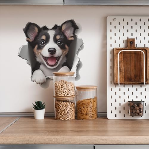 Vinilo decorativo 3D Cute Corgi Puppy Achang miniatura 6