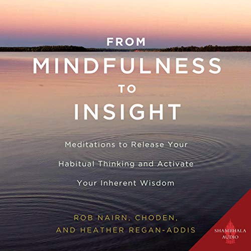 From Mindfulness to Insight by Rob Nairn, Choden, Heather Regan-Addis episode artwork