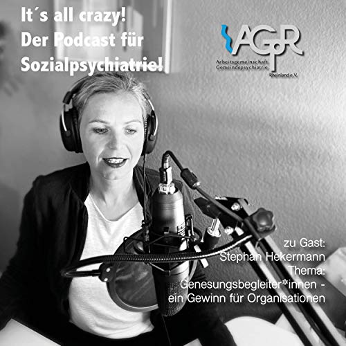 Genesungsbegleiter*innen ein Gewinn f&uuml;r Organisationen zu Gast Stephan Hekermann