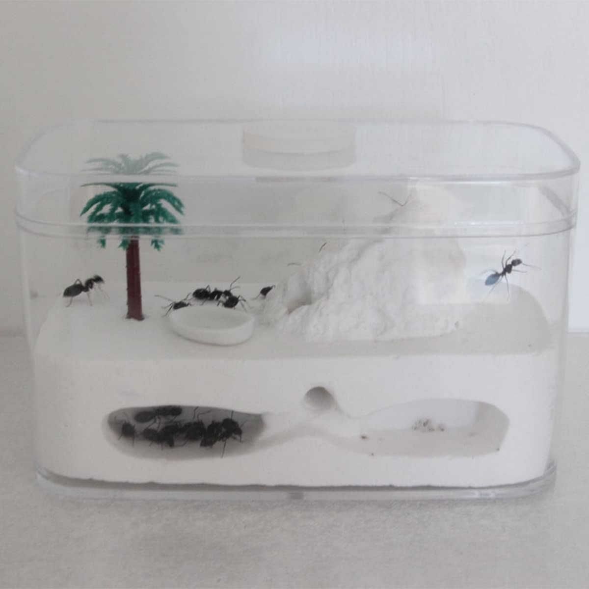Stereoskopische Acrylbeobachtung Nest Bauernhof Ökologischer Gips-Ameisennistkasten Ameisenburg Ameisenkönigin Zuchthaus Villa Pädagogische Ameisenkolonie Beobachtungsbox Ameisenhügel Fütterung Werkst