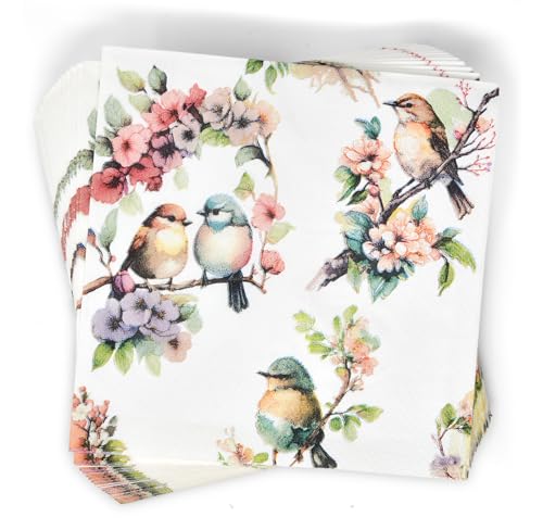 Gift-Boutique-100-Spring-Bird-Floral-Cocktail-Beverage-Napkins-Disposable-Paper-Summer-Birds-Flowers-Watercolor-Dessert-Napkin-Birthday-Party-Supplies Gift Boutique 100 Spring Bird Floral Cocktail Beverage Napkins Disposable Paper Summer Birds Flowers Watercolor Dessert Napkin Birthday Party Supplies