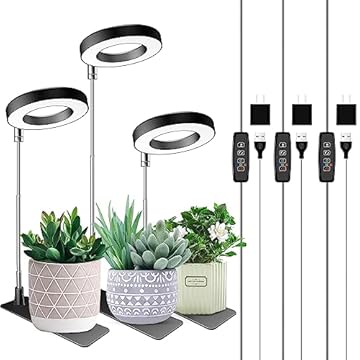 Illuminate Your Space with These Indoor Plant Stands for Succulents 3 best indoor plant stand with lights for succulents