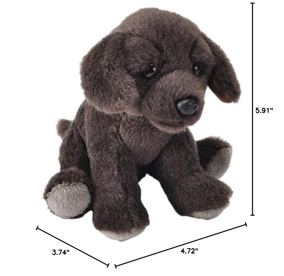 Wild Republic Pocketkins Eco Chocolate Labrador, Stuffed Animal, 5 Inches, Plush Toy, Made from Recycled Materials, Eco Friendly - Image 2