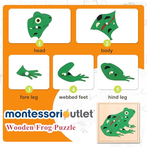 Image of Montessori Outlet Frog Puzzle for 3-6 Years Montessori Education at School and Home
