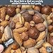 Oh! Nuts Mixed Nuts in Shell - Raw - 100% Natural - 3 lb - Jumbo-Sized Premium Shelled Nuts - Packed in New York Zip-Seal Bag for Exceptional Freshness