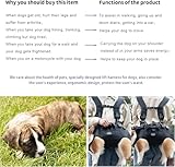 Wakytu Hundehebegeschirr für Große Hunde Notfallrucksack Hundetragetasche für Behindert Gelenkverletzungen Ältere Hunde Treppen rauf und runter Autos Hundetragetuch 30-40KG