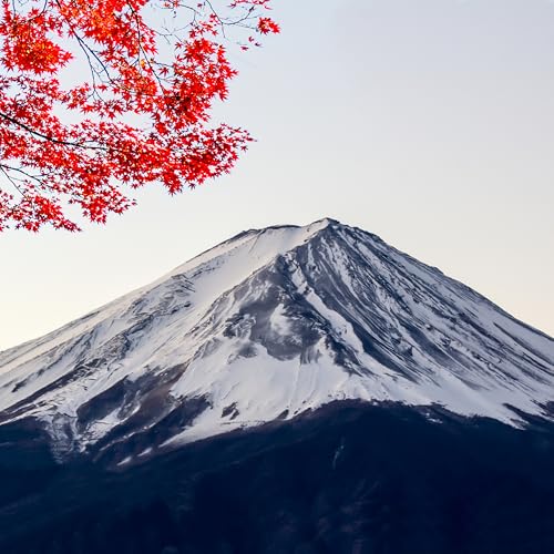 Niigata, Harper Rems & Mindful Changes