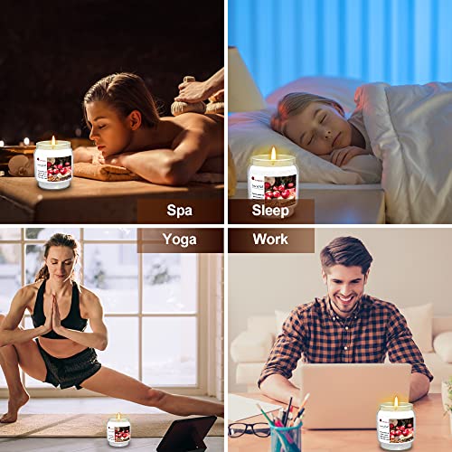 Large Fall Scented Candles Natural, 15.8Oz Soy Wax Organic Aromatherapy Jar Candle Gifts, Autumn Fresh Apple Cinnamon Scent For Farmhouse House Decoration Home Decor, Women Men Stress Relief Present #TOP6