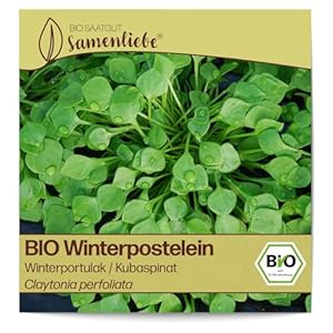 Samenliebe Winterportulak BIO-Saatgut 800 Samen