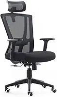 Cadeira de Escritório Presidente Ergonômica NR17 Akira Duoffice DU388