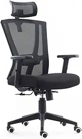 Cadeira de Escritório Presidente Ergonômica NR17 Akira Duoffice DU388