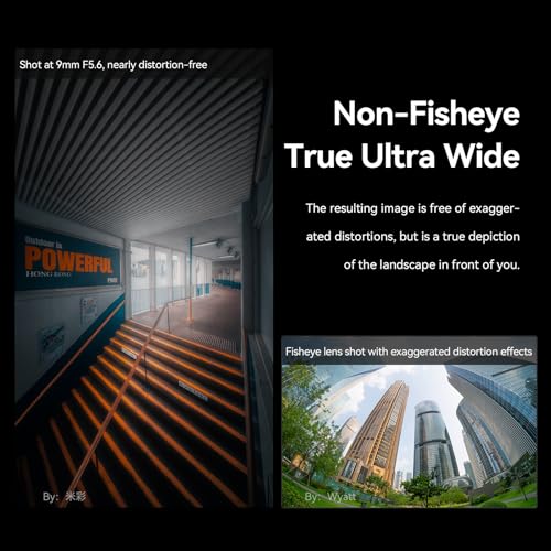 Ficha técnica Brightin Star Lente de montaje en L F5.6 de 9 mm para Leica Panasonic Sigma marco completo de 132 grados ultra gran angular lente de cámara sin espejo para SL SL2 T TL TL2 TL18 CL LUMIX S1 S1R S1H - Fernando Cortés