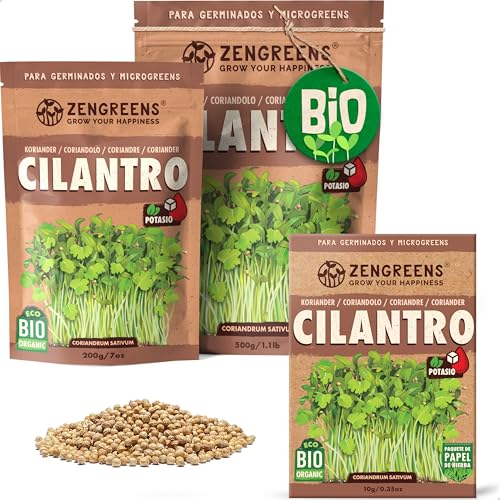 ZenGreens® - Semillas de cilantro ecológico - Elija entre 10g, 200g y 500g - brotes de coriandro - germinación de más del 97% - Microgreens