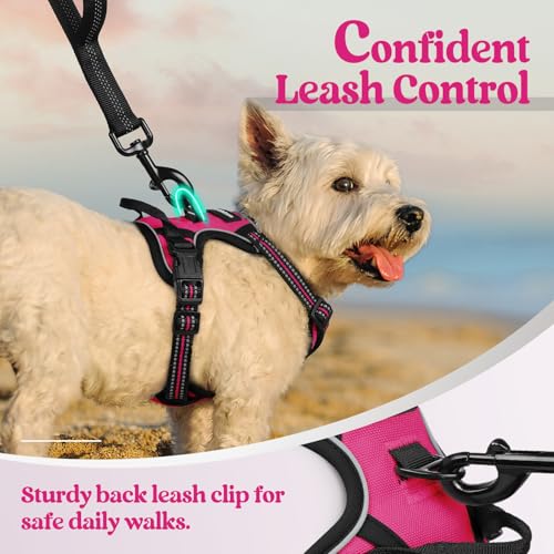 Image of rabbitgoo Dog Harness No Pull with 2 Leash Clips, Adjustable Soft Padded, Reflective Oxford No Choke Pet Vest with Easy Control Handle for Puppy, Hot Pink, XS