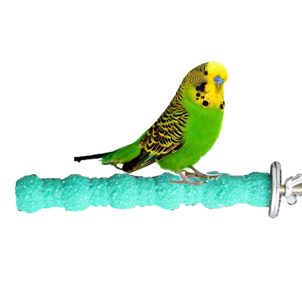 Wood Perch Paw Grinding Toy for Bird Parrot Budgies Parakeet Cockatiels Conure Lovebird Cage Stand Toy (18cm/ 7")