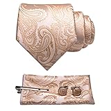 [JEMYGINS] [ジェミギンズ] メンズ ネクタイ ゴールド ペイズリー柄 ピン カフス ボタン チーフ ビジネス 就活 結婚式 入学式 卒業式 二次会 冠婚葬祭 パーティー 父の日 プレゼント ギフトボックス付き7