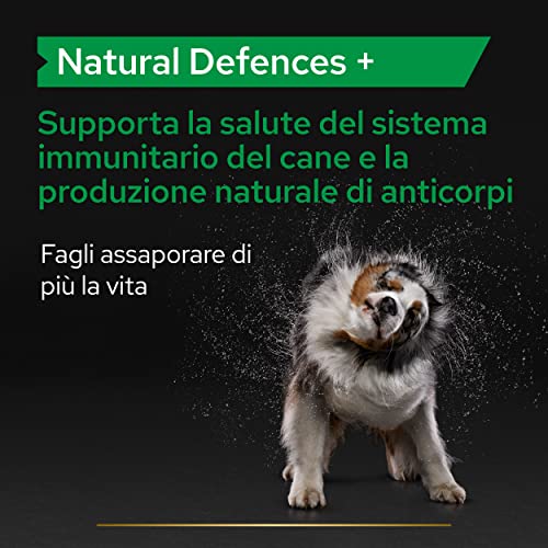 PURINA PRO PLAN, Natural Defences, Adult & Senior, Dog Supplement Tablets, Beta Glucans - Image 2