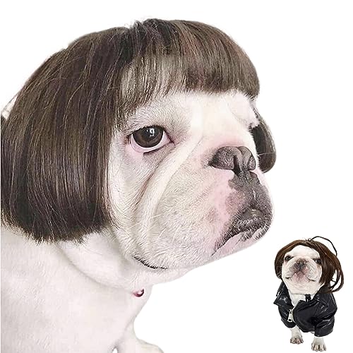 Pet Wigs