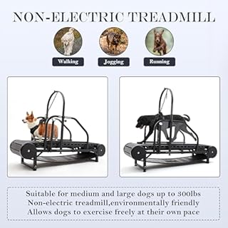 RIXBEO Dog Treadmill for Large and Medium Dogs - Adjustable Running Machine for Healthy Pet Life, Indoor Dog Exercise Treadmill for up to 300LBS