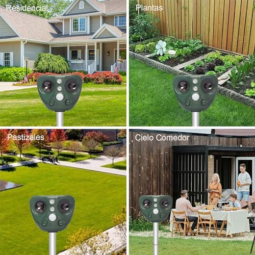 Control De Plagas, Home Improvement Imagen adicional