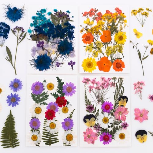 Set de Flores Secas Naturales para Proyectos DIY miniatura 1