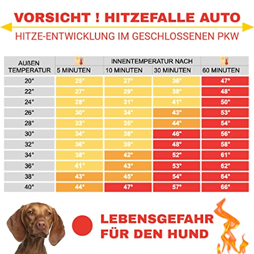 UV Schattennetz Auto Hund 3x4 m – Aludecke mit Ösen – Sonnenschutznetz & luftdurchlässiges Sonnennetz 4x3 m – reflektierende Schattenplane Camping, Urlaub, Sport – Alunetz Auto 300x400 cm Hitzeschutz