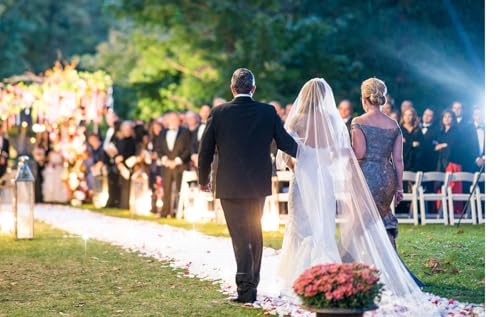 image for EZLucky Glitter Silver Carpet Runner for Party, 2.46X30 ft Roll, 200 G