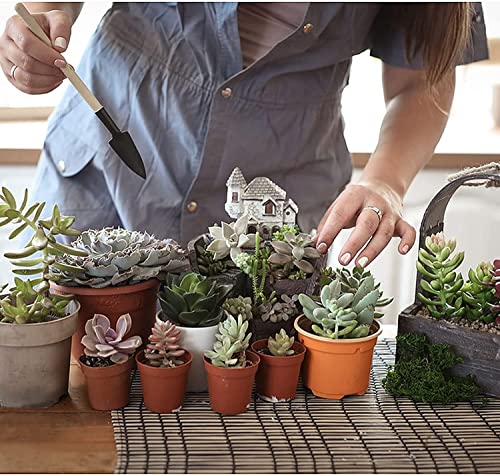 Juego de 3 herramientas de jardinería WishLotus mini miniatura 6