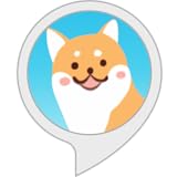 柴犬のドボンゲーム