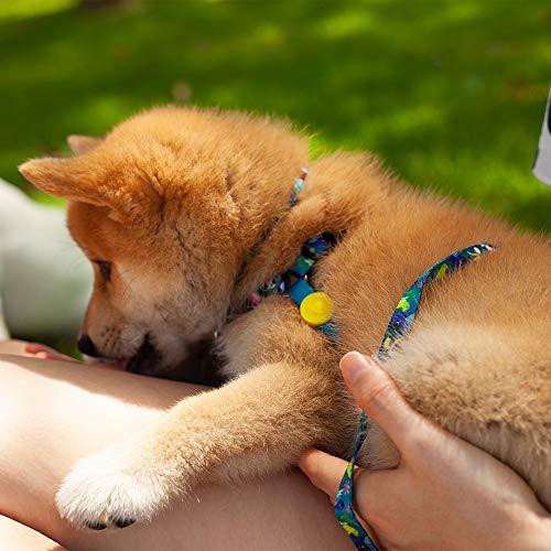 Peitoral Para Cachorros dog27 Amazonia Tamanho:G