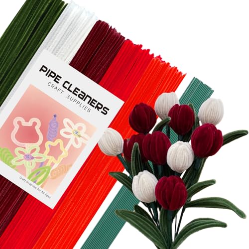 |[ [ J[~bNX 270{ 20{̃t[bh ԃZbg J[[ Ntg[ H샂[  t[ C[ i[ C[A[g JtȑiA`ޗAwZpHޗANX}Xc[̑CLO a