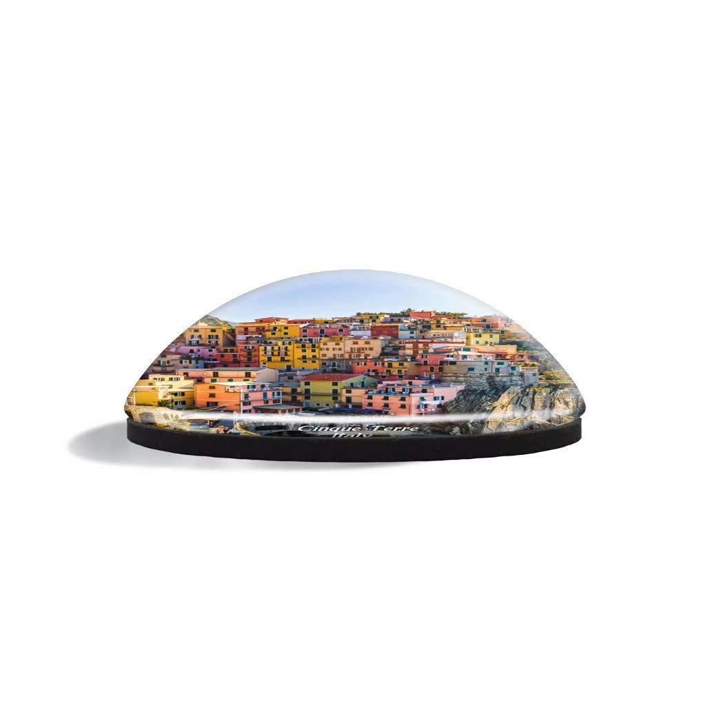 Turtle Dominica magnete da frigorifero souvenir da viaggio