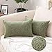 MIULEE Lot de 2 Housses de Coussins en Chenille Qualité A Croisées Décoratives Doux Lisse Moderne Confortable Taie d'oreiller Décoration pour Salon Chambre Canapé 30x50cm Vert