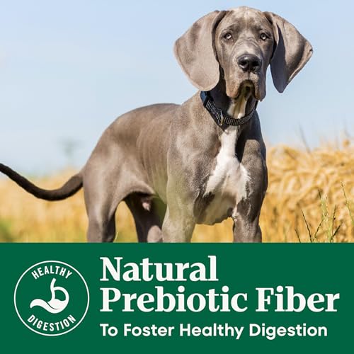 Nutro Natural Choice Large Breed Puppy Dry Dog Food, Chicken, 30 lb | Real chicken #1 ingredient, non-GMO, no corn, wheat, soy, supports brain & eye development, bones, muscles & joints - Image 6