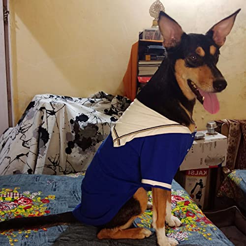 Image of Lulala Dog Shirt with Sea Lover Dog Shirt - Cotton Shirt for Dogs Summer Tshirt with Polo Collar Navy Captain Costume for Dogs (20Inch,Blue-White)