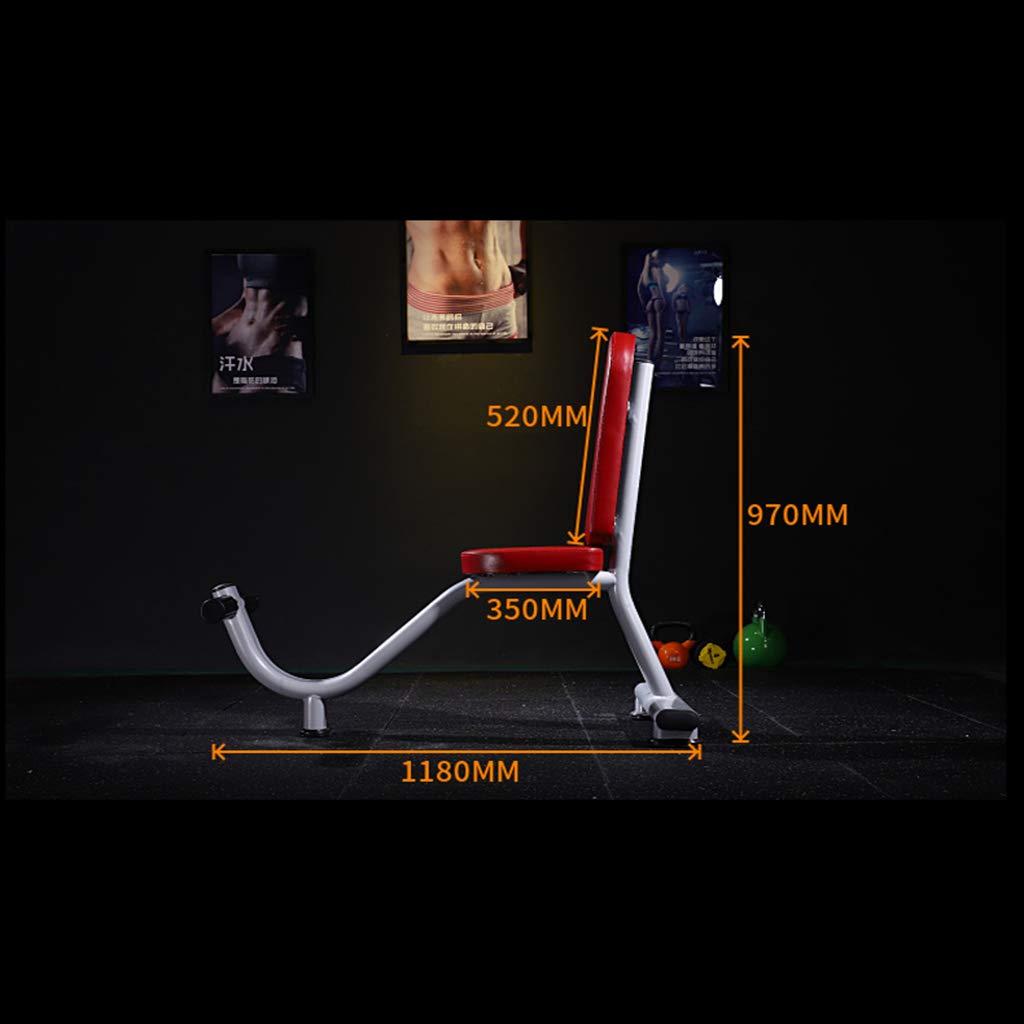 N / A Panche pesiPanca con Manubri, Panca da Palestra Piatta, Panca con Bilanciere per Allenamento Addominale, Sgabello per Uccelli in Volo, Portante 500 kg
